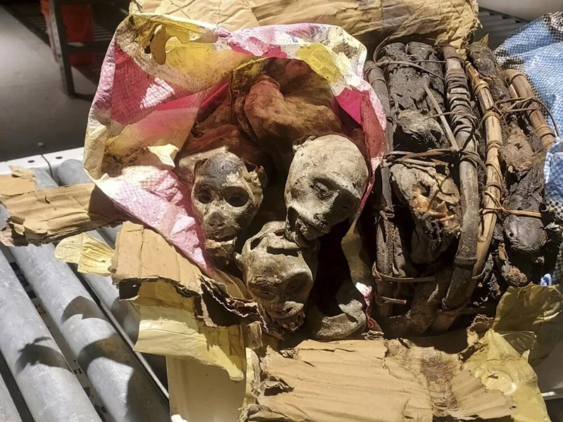 Mummified monkey remains were found in luggage at Boston's airport