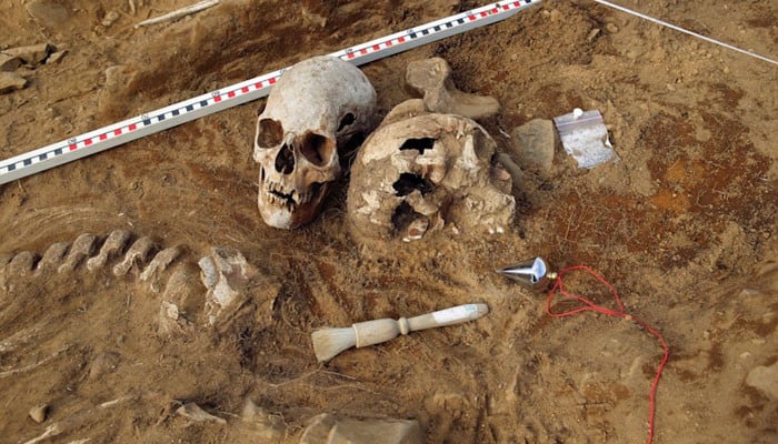 Scientists are surprised by the discovery of a 6,000-year-old human skeleton with unique DNA.