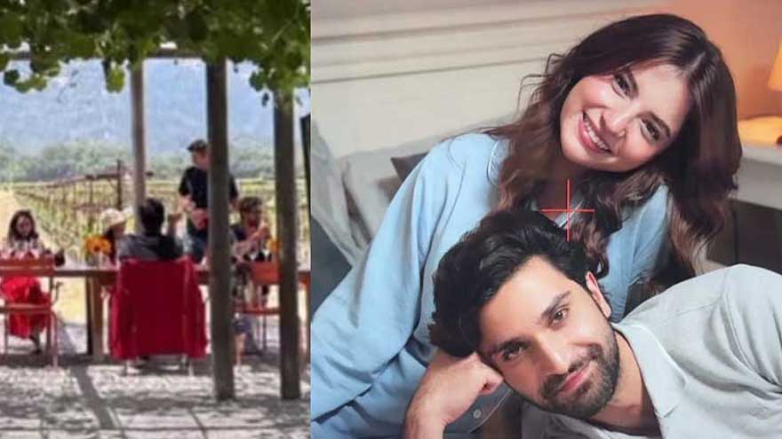 Is there any truth to dating rumour between Ahad Raza Mir and Dananeer?