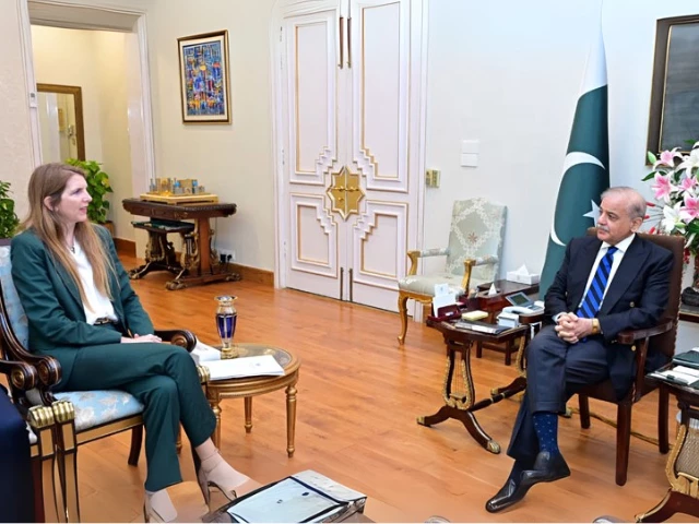 PM calls for 'meaningful dialogue' with India to ease tensions in talks with British envoy