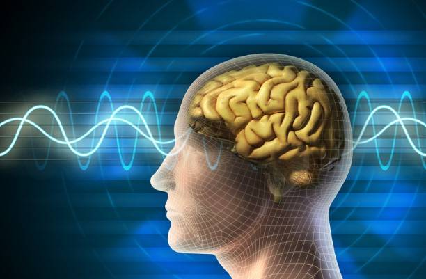 The new miracle of modern science: thanks to AI, even those unable to speak have started speaking.