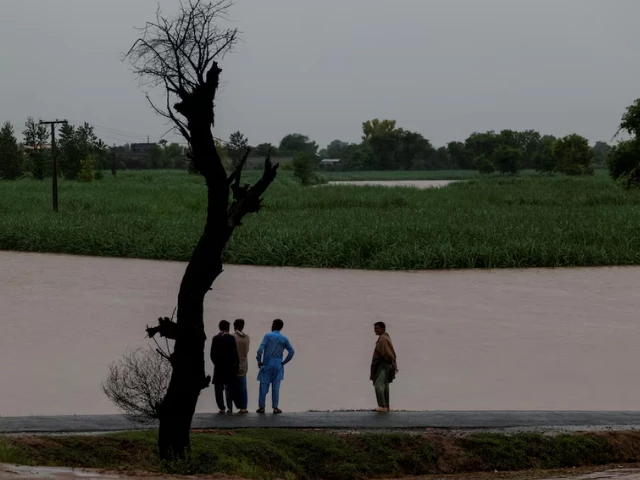 Punjab rivers return to normal as monsoon ends: DG PDMA