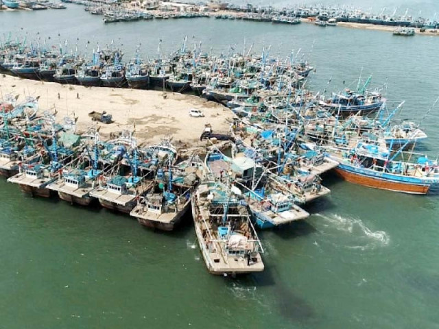Aquaculture Park can make Thatta seafood export hub